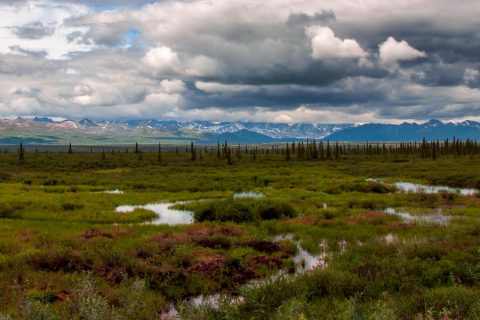 Denali Highway