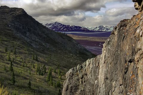 Savage River Trail