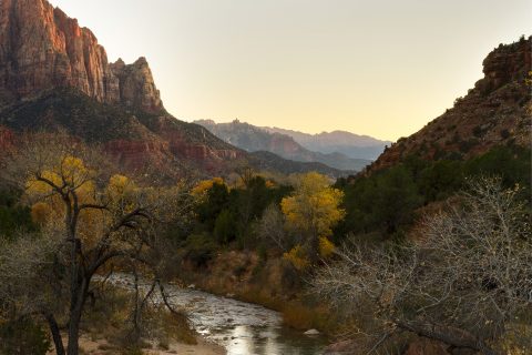 Watchman - Zion National Park